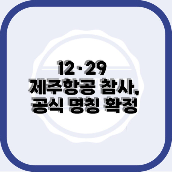 12.29 제주항공 참사 공식 명칭